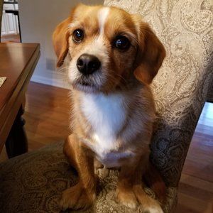 Meet your Posher, Robert